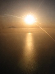aerial
