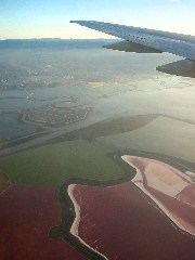 aerial