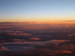 aerial