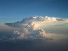 aerial