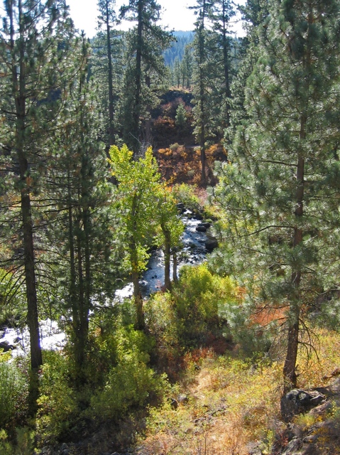 Bizz Johnson Trail, Susanville