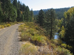 Bizz Johnson Trail, Susanville