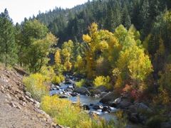 Bizz Johnson Trail, Susanville