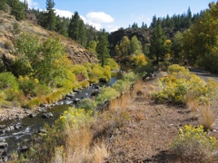 Bizz Johnson Trail, Susanville