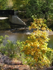 Bizz Johnson Trail, Susanville