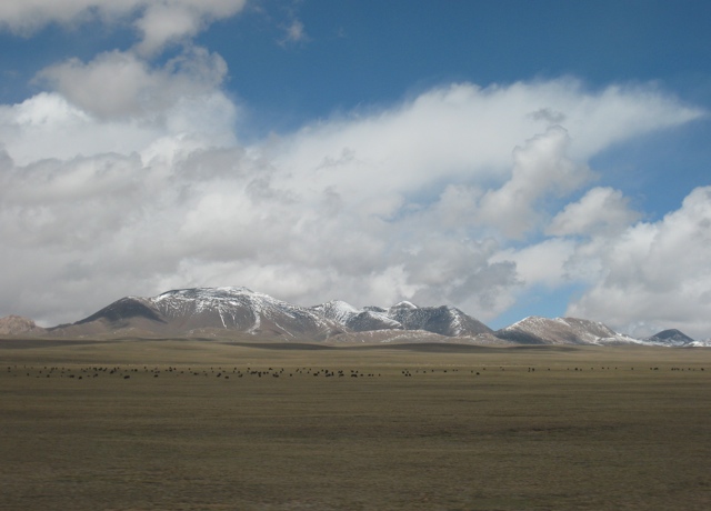 train from Xining to Lhasa