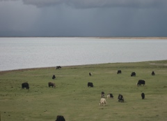 train from Xining to Lhasa