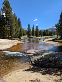 Evelyn Lake Backpacking 2022