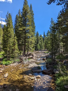 Evelyn Lake Backpacking 2022