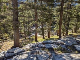 Evelyn Lake Backpacking 2022