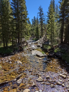 Evelyn Lake Backpacking 2022