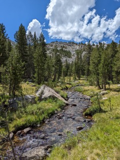 Evelyn Lake Backpacking 2022
