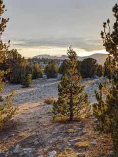Evelyn Lake Backpacking 2022