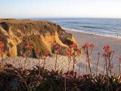 Half Moon Bay