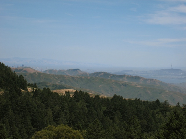 Mount Tamalpais