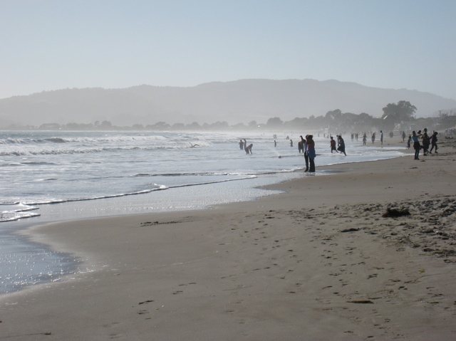 Mount Tamalpais
