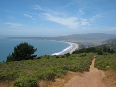 Mount Tamalpais