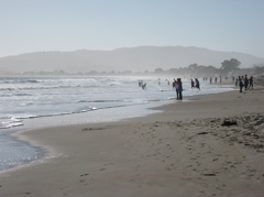 Mount Tamalpais