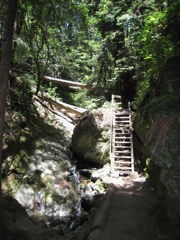 Mount Tamalpais