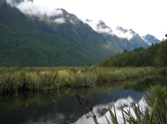 Milford Sound