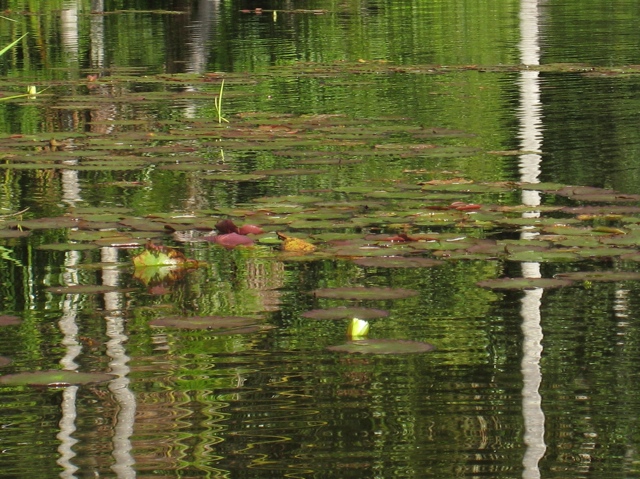 Lake Sandoval