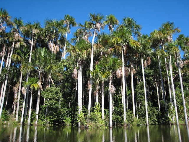 Lake Sandoval
