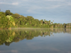 sandoval lake