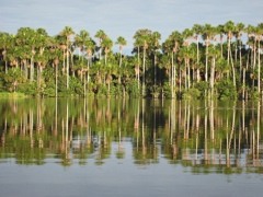 sandoval lake