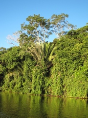 sandoval lake