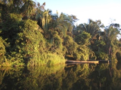 sandoval lake