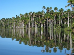 sandoval lake