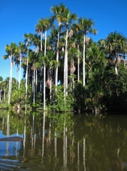 sandoval lake