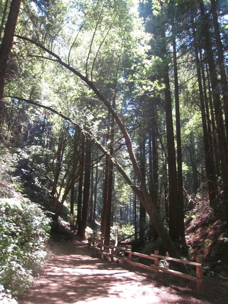 Redwood Regional to Anthony Chabot