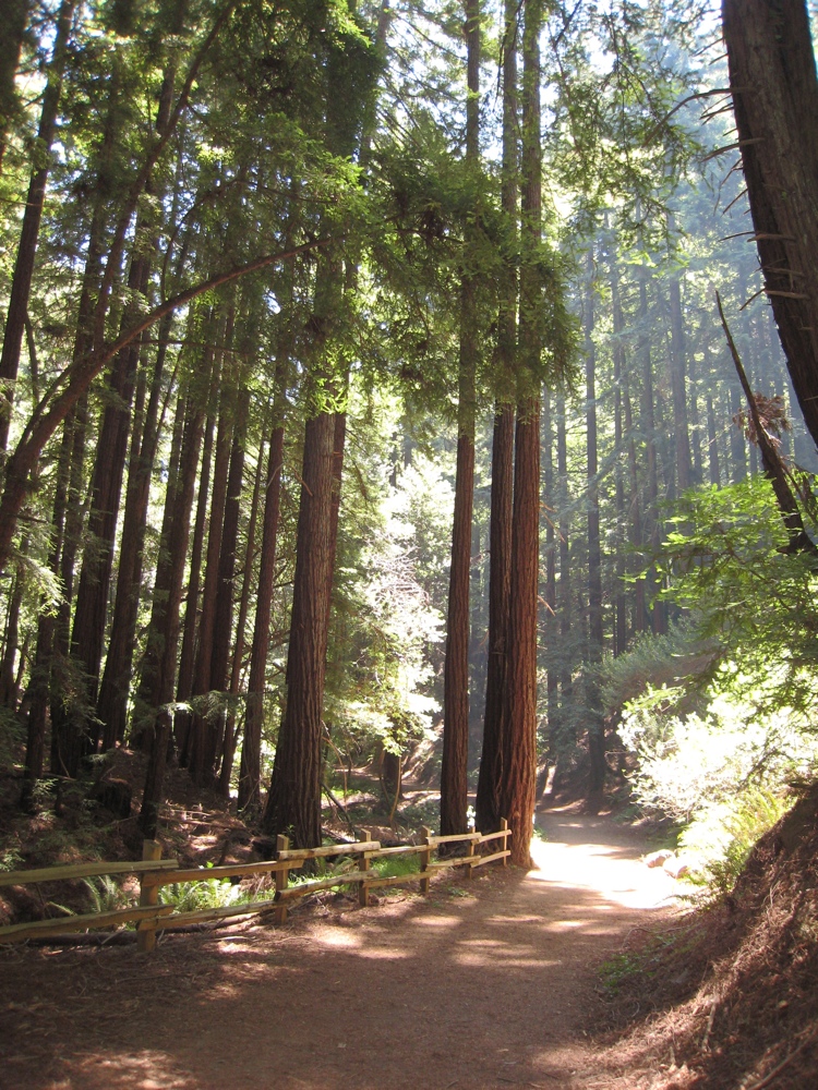 Redwood Regional to Anthony Chabot