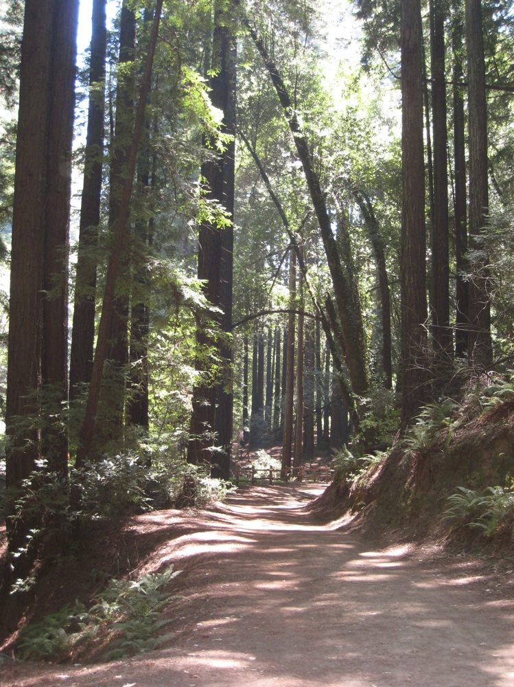 Redwood Regional to Anthony Chabot