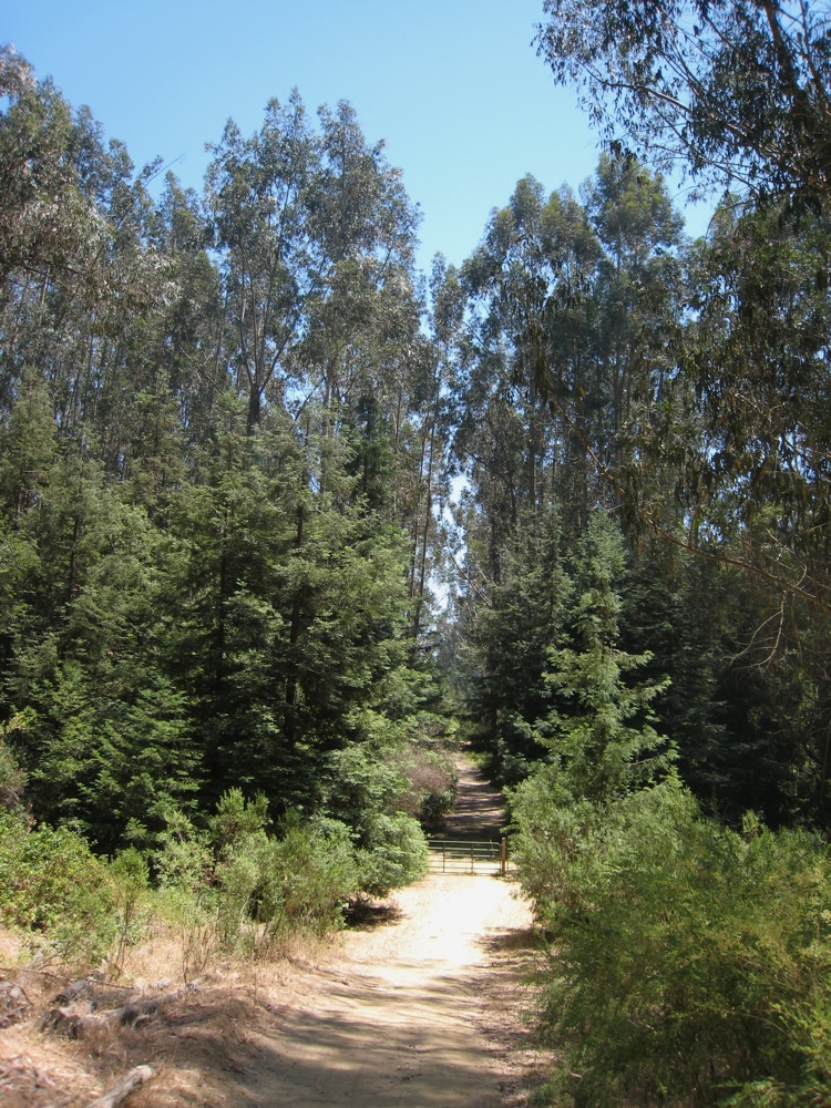Redwood Regional to Anthony Chabot