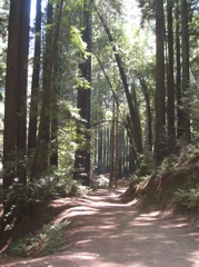 Redwood Regional to Anthony Chabot