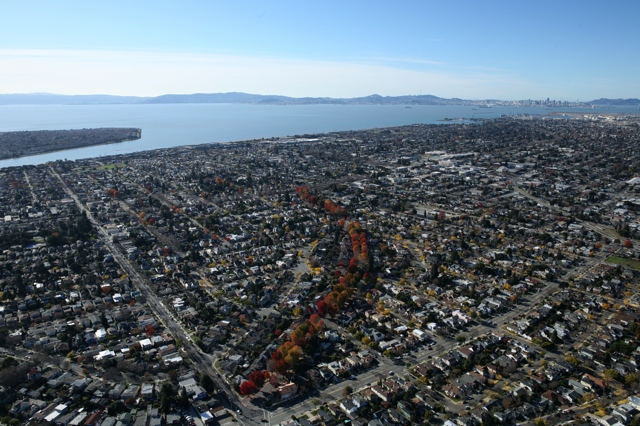 zeppelin view